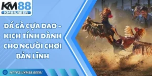 Đá Gà Cựa Dao – Kịch Tính Dành Cho Người Chơi Bản Lĩnh