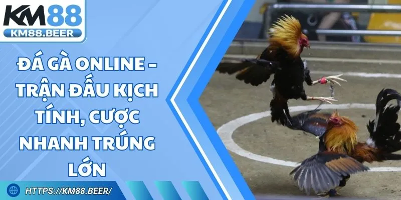 Đá Gà Online – Trận Đấu Kịch Tính, Cược Nhanh Trúng Lớn