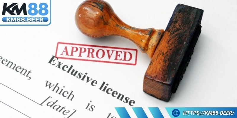 Xét duyệt giấy phép nhiều bước đánh giá kỹ lưỡng về pháp lý và chuyên môn